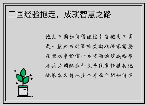 三国经验抱走，成就智慧之路