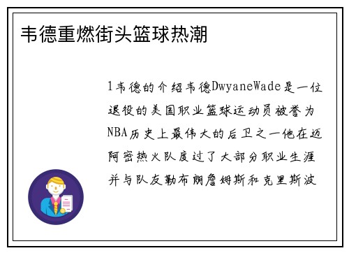 韦德重燃街头篮球热潮